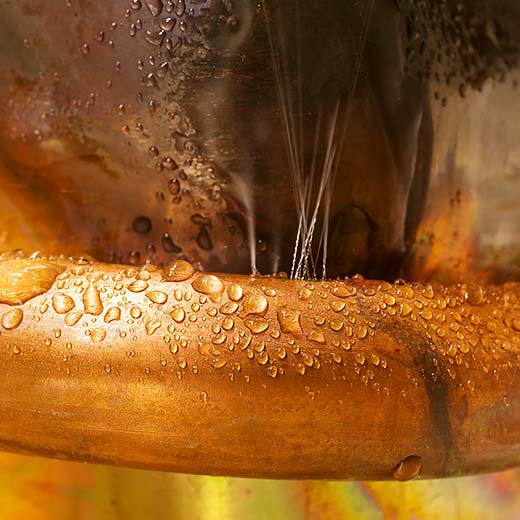 Same Day Greece Plumbing Service, drains, septic, trenchless.